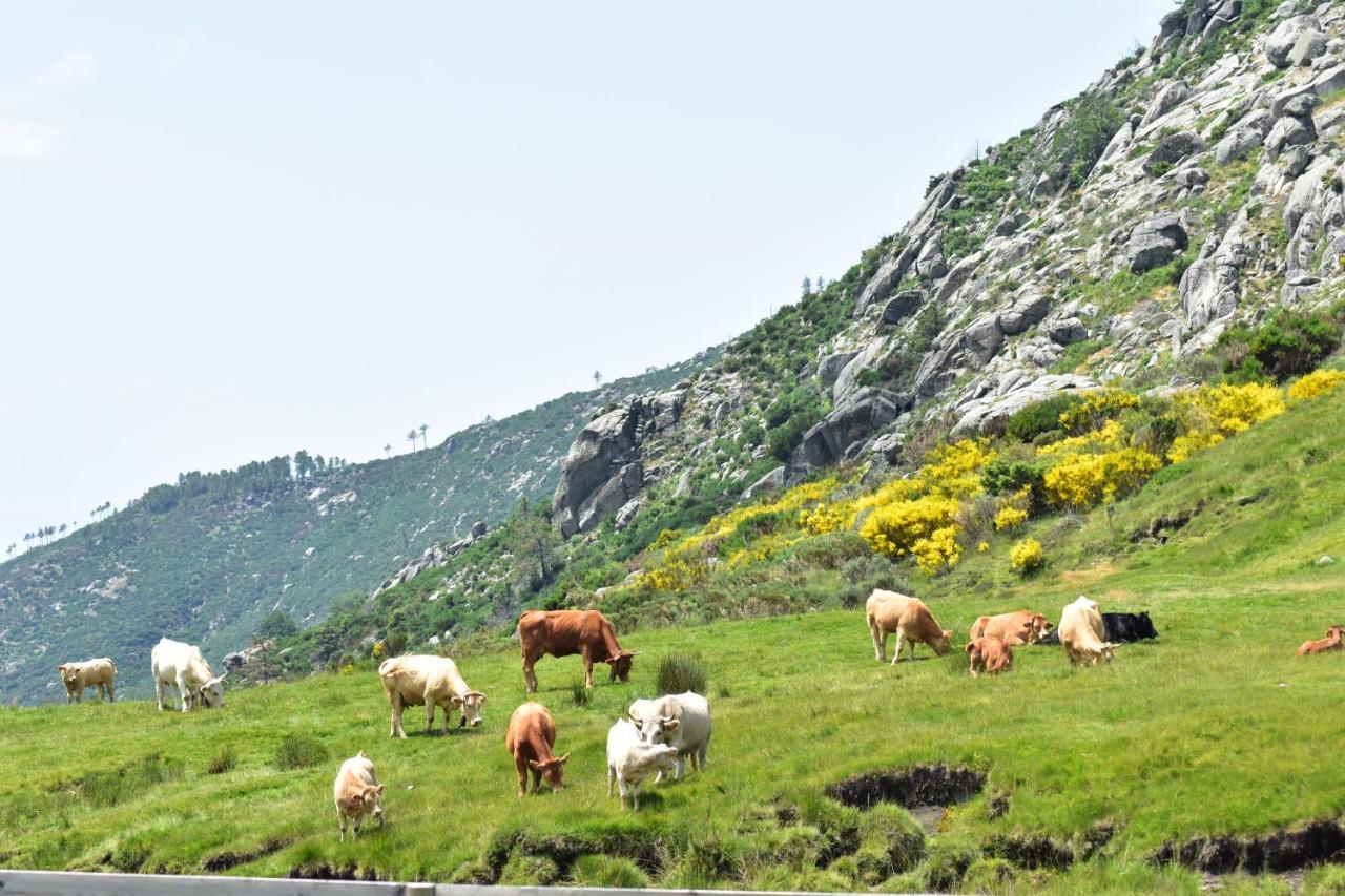 Casa Ruben Dario Διαμέρισμα Villarejo del Valle Εξωτερικό φωτογραφία